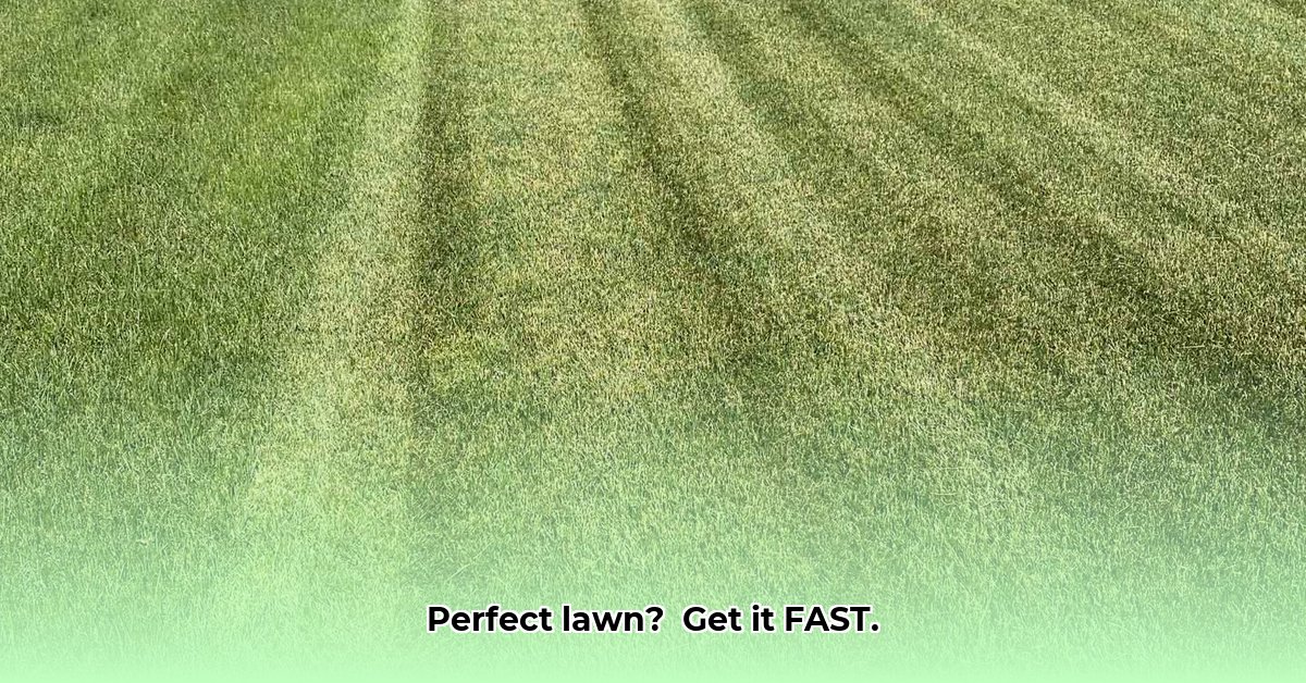 cut-right-lawn-care